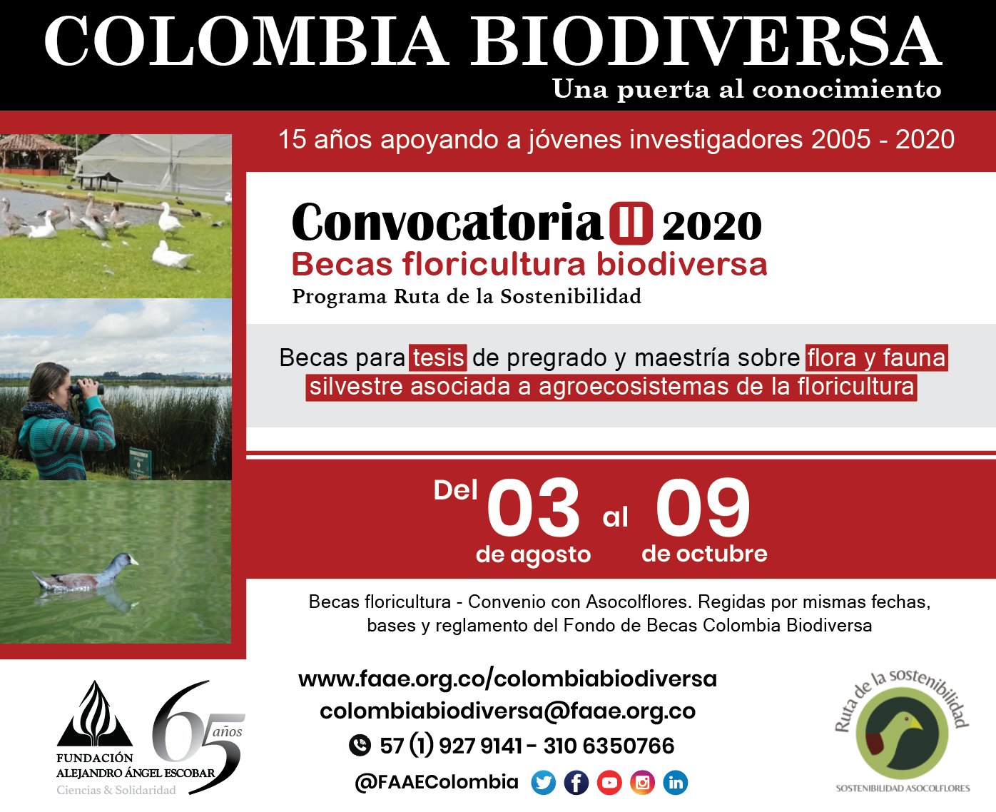 Call for Applications II-2020 Colombia Biodiversa Scholarships Call for Applications II-2020 Colombia Biodiversa Scholarships