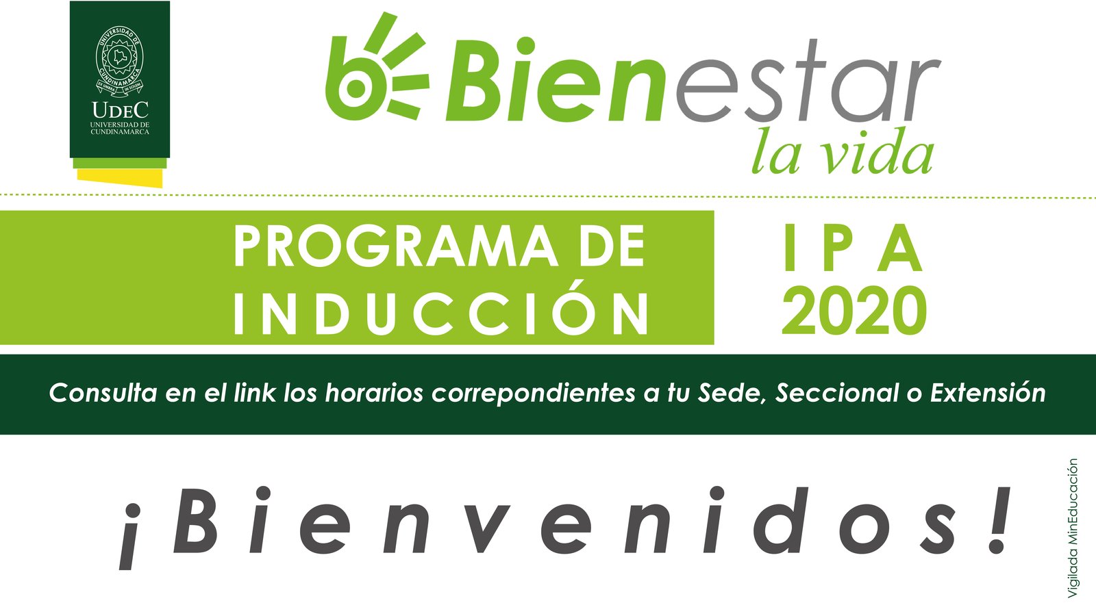 Cronograma de Inducción IPA 2020 — imagen 2 de 2
