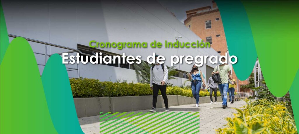 Cronograma de inducción pregrado IIPA - 2021