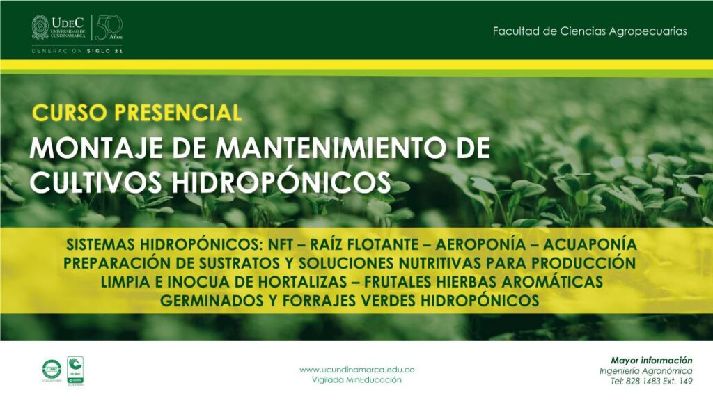 Curso presencial: Montaje de mantenimiento de cultivos hidropónicos