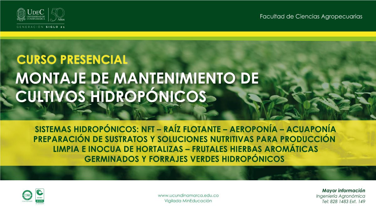 Curso presencial: Montaje de mantenimiento de cultivos hidropónicos