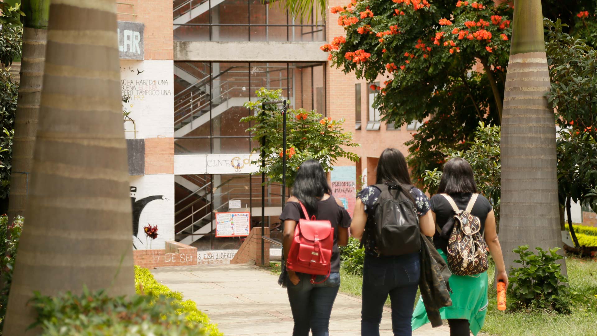Decisiones del Consejo Académico