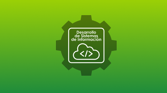 Desarrollo sistemas informacion