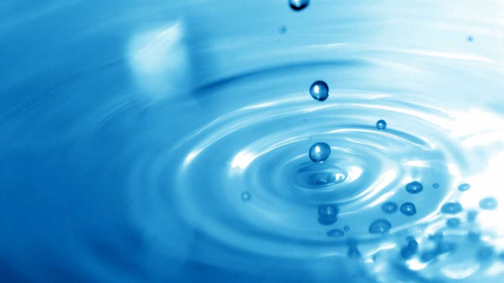 El agua: vida para todos