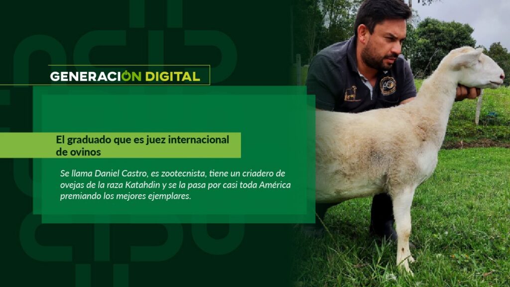 El graduado que es juez internacional de ovinos — imagen 1 de 3