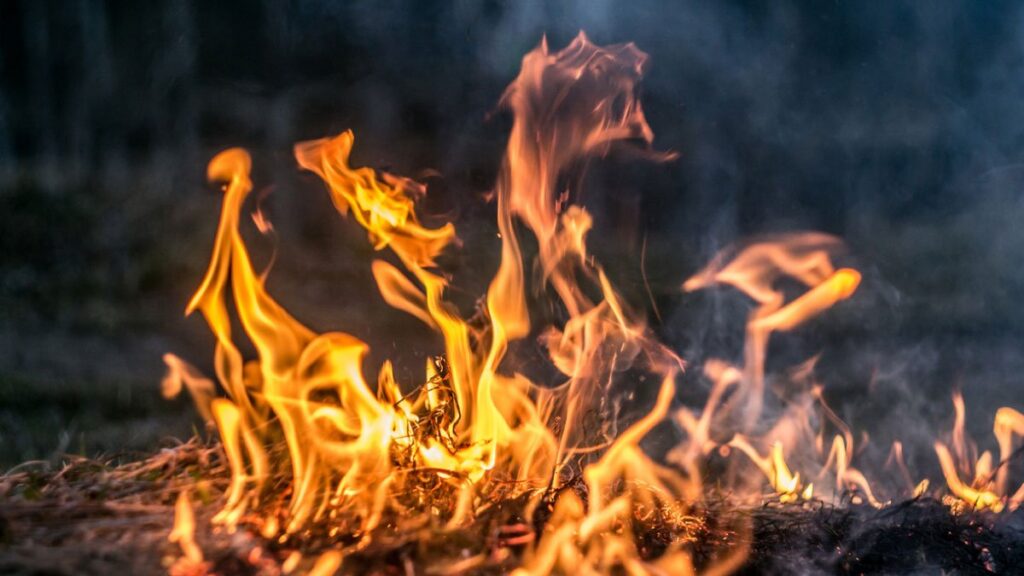 El precio del desarrollo: La revolución del fuego al ocaso de las cenizas