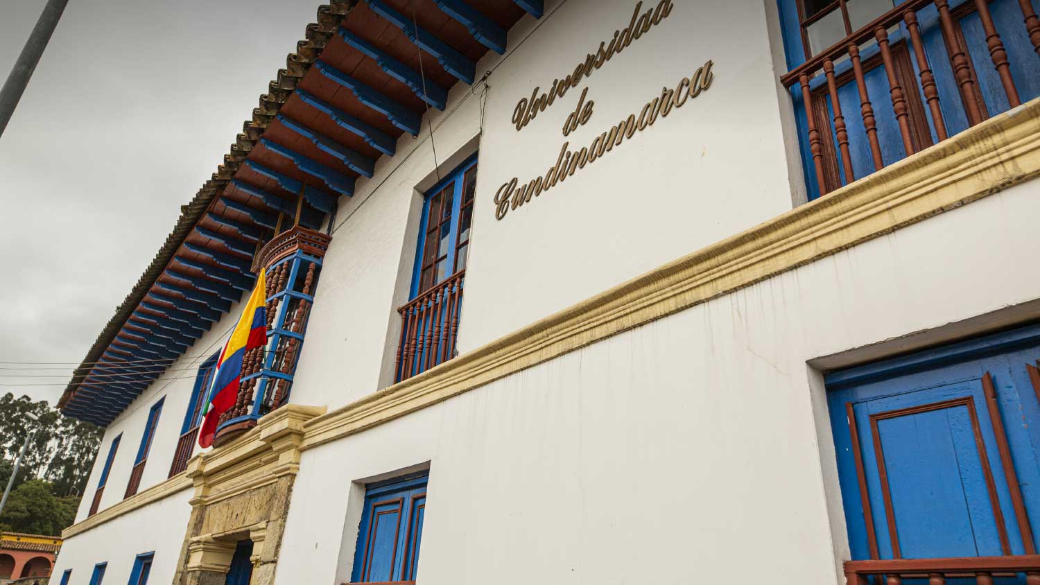 The UDEC Music Program, leaving its mark on Bogotá