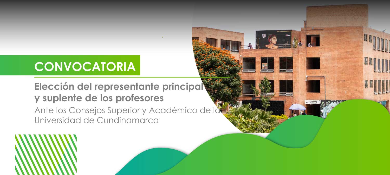 Elección del representante principal y suplente de los profesores ante el Consejo Superior y Consejo Académico