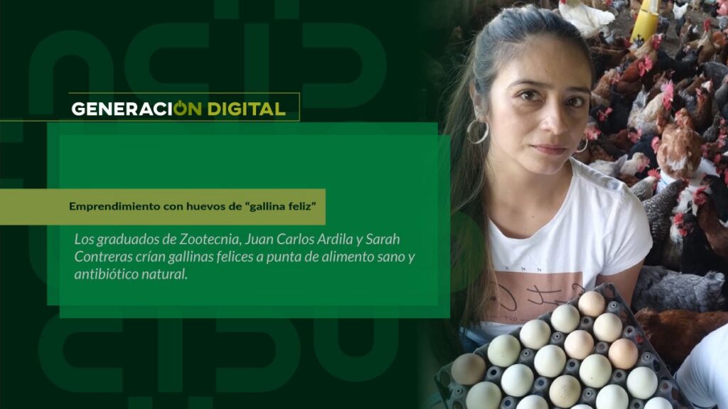Emprendimiento con huevos de “gallina feliz”