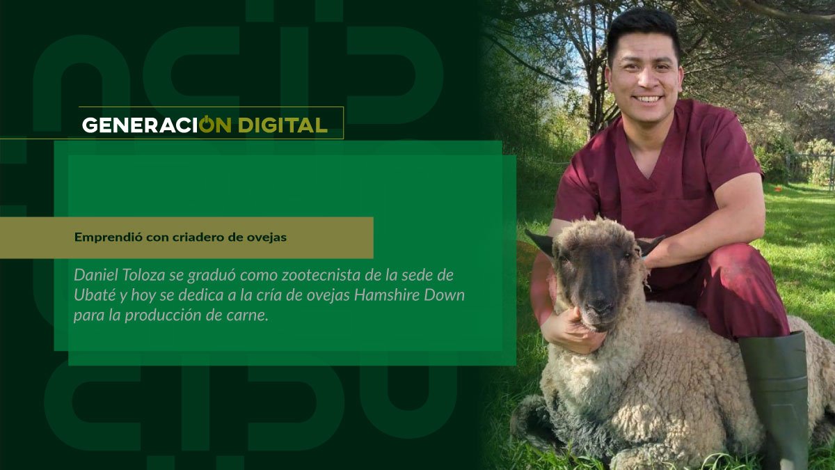 Emprendió con criadero de ovejas