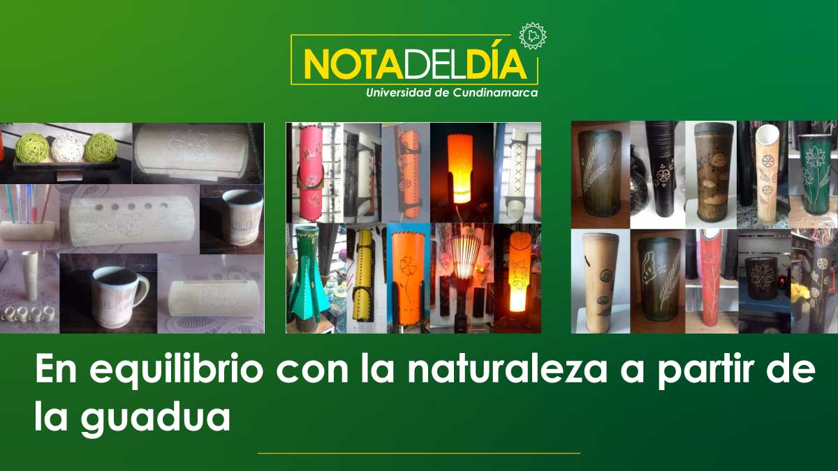 En equilibrio con la naturaleza a partir de la guadua — imagen 1 de 2