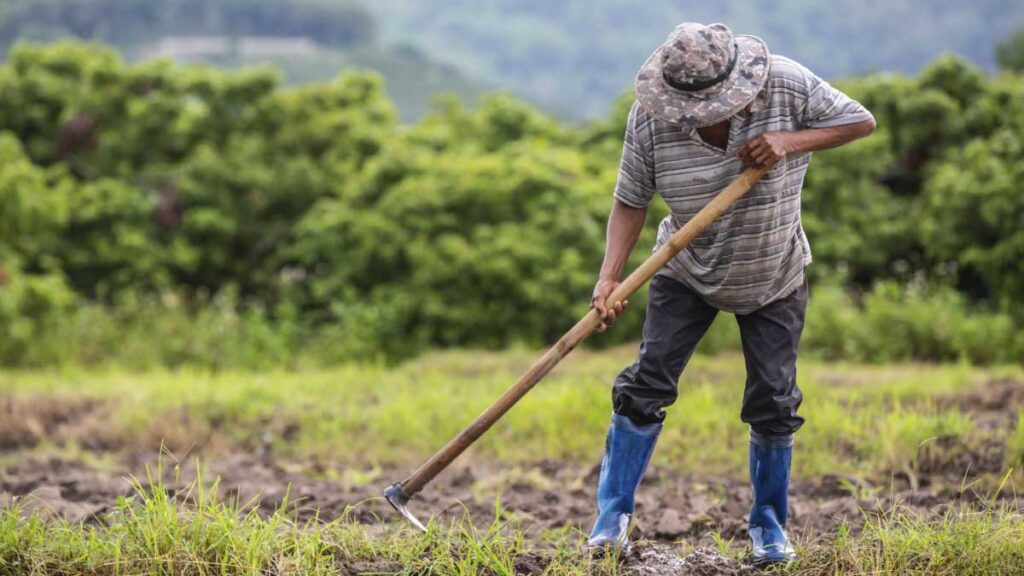 ¿En qué va la investigación de la UDEC sobre la agricultura en Sumapaz?