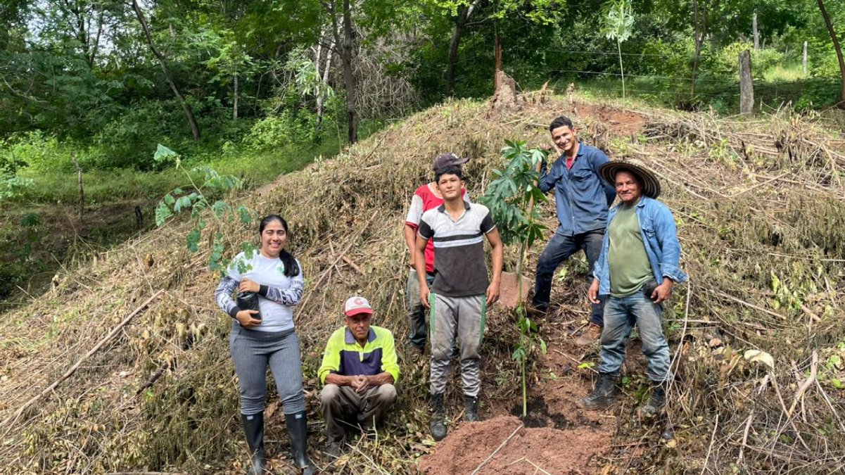 Enfermera impulsa reforestación en Girardot — imagen 5 de 6