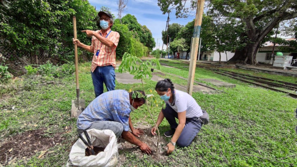 Enfermera impulsa reforestación en Girardot — imagen 6 de 6
