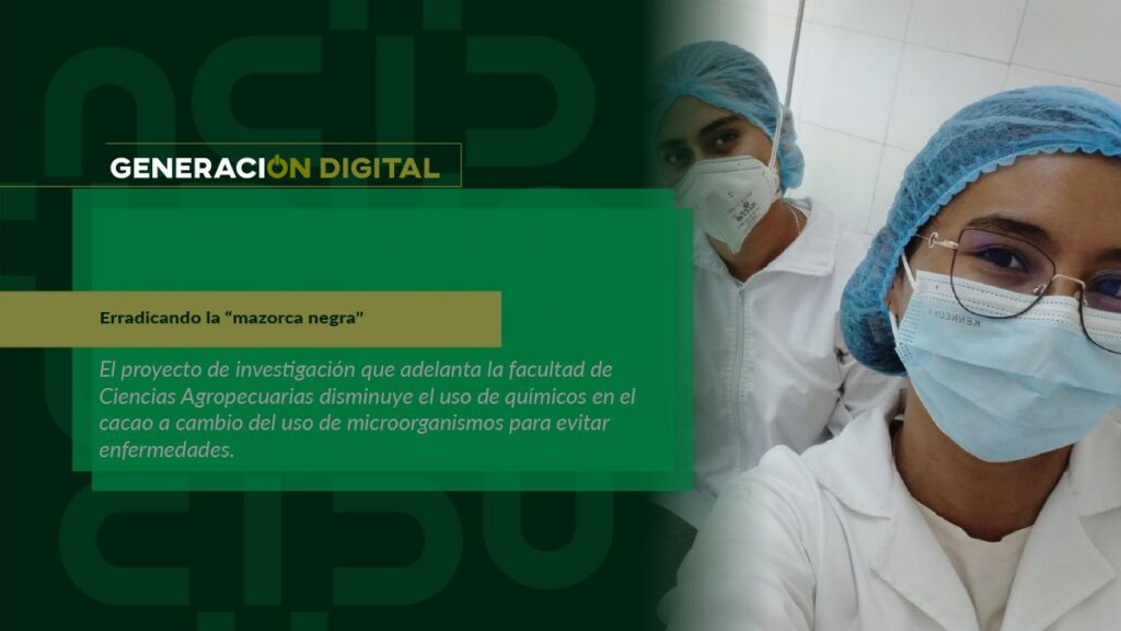 Erradicando la “mazorca negra” — imagen 1 de 4