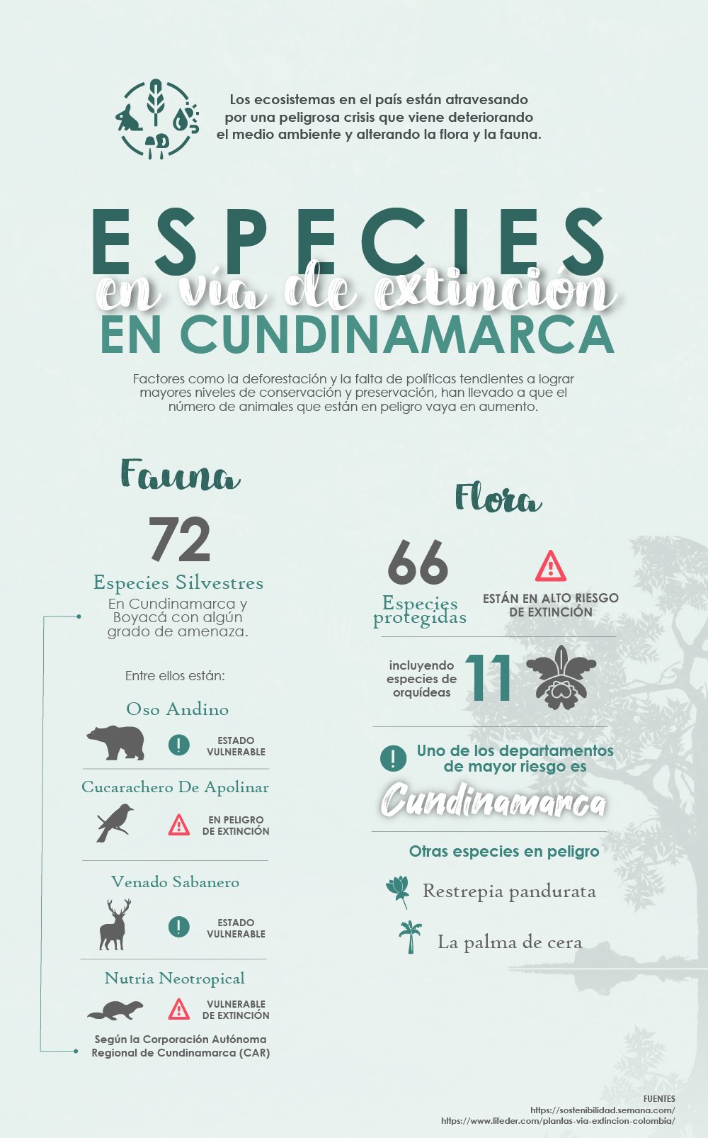 Especies en vía de extinción en Cundinamarca
