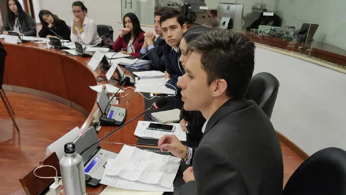 Students in the role of legislators — image 1 of 7
