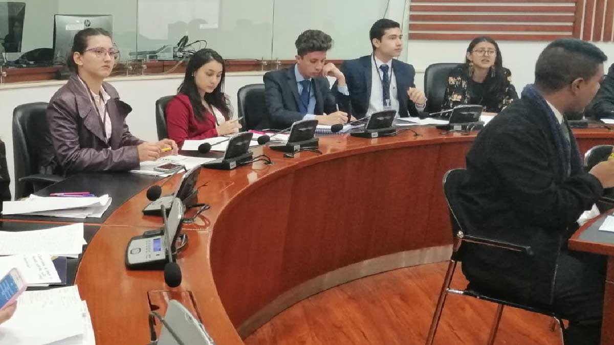 Students in the role of legislators — image 2 of 7