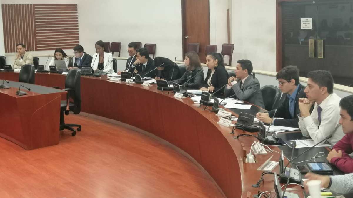 Students in the role of legislators — image 7 of 7