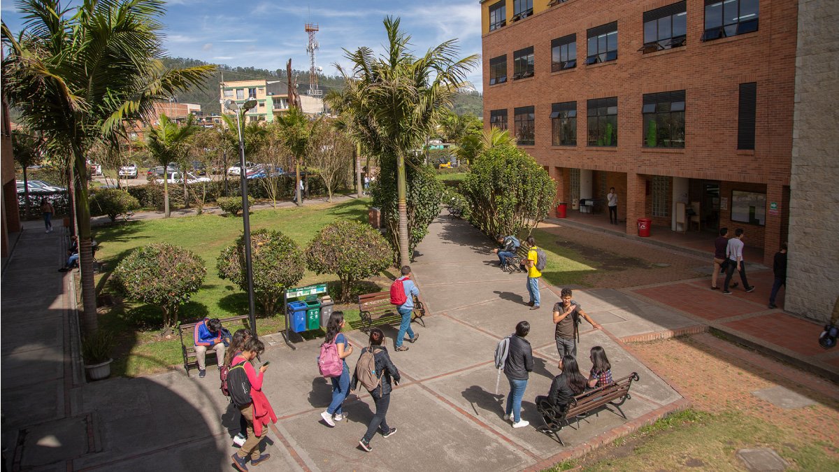 Student experiences in their internships