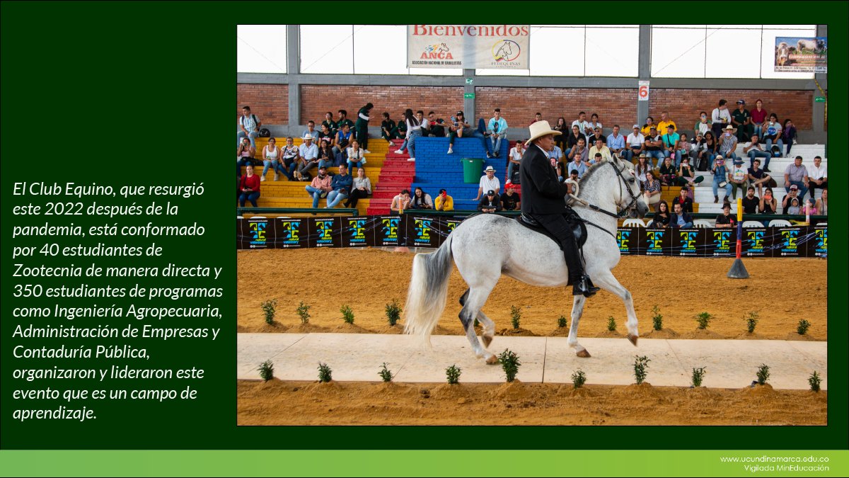 Festival equino UCundinamarca — imagen 2 de 8