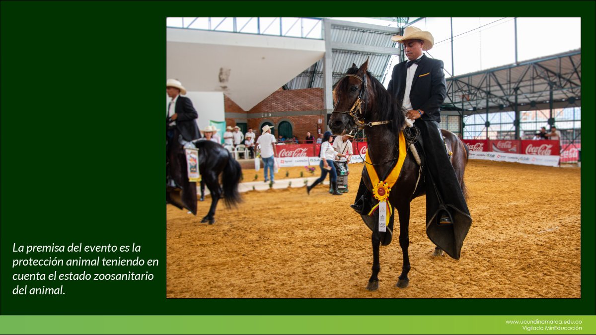 Festival equino UCundinamarca — imagen 3 de 8