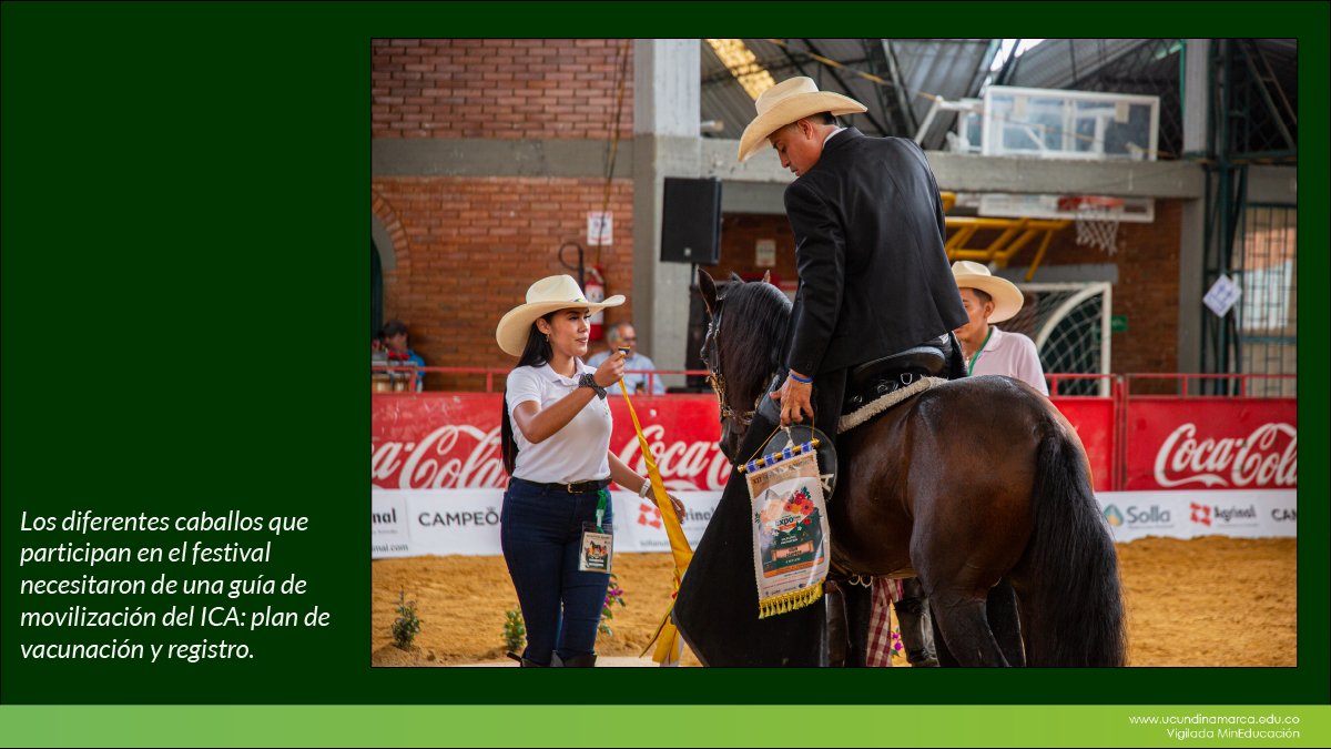 Festival equino UCundinamarca — imagen 4 de 8