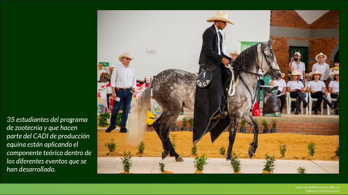 Festival equino UCundinamarca — imagen 5 de 8