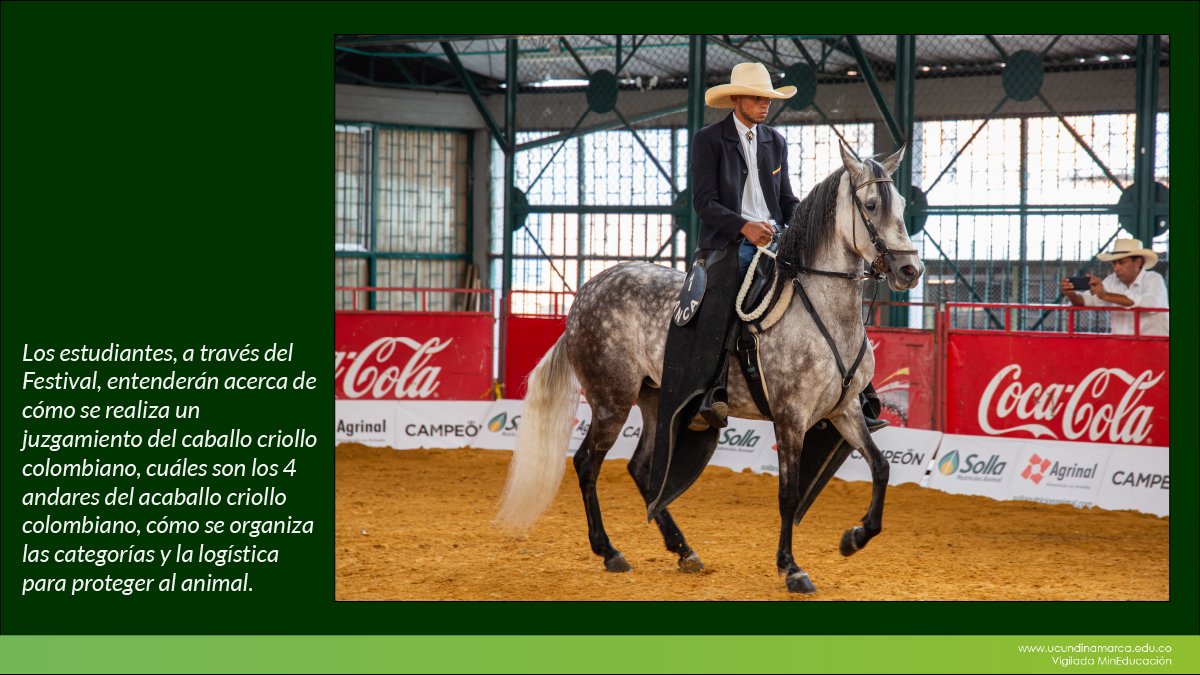 Festival equino UCundinamarca — imagen 6 de 8