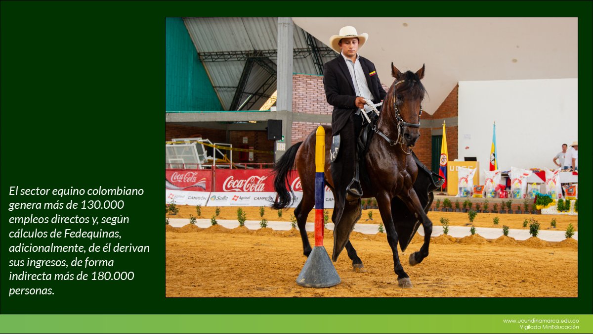 Festival equino UCundinamarca — imagen 8 de 8