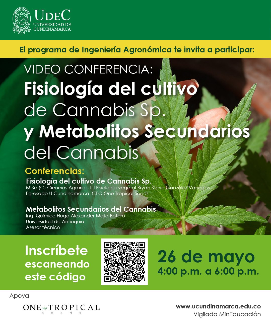 Fisiología del cultivo de cannabis