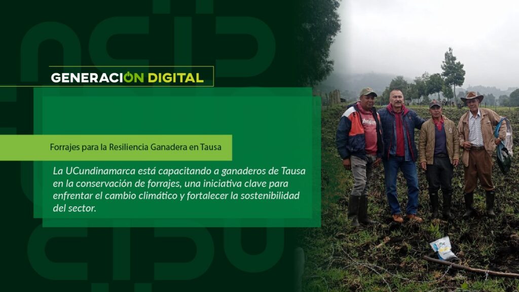 Forage for Livestock Resilience in Tausa — image 1 of 3