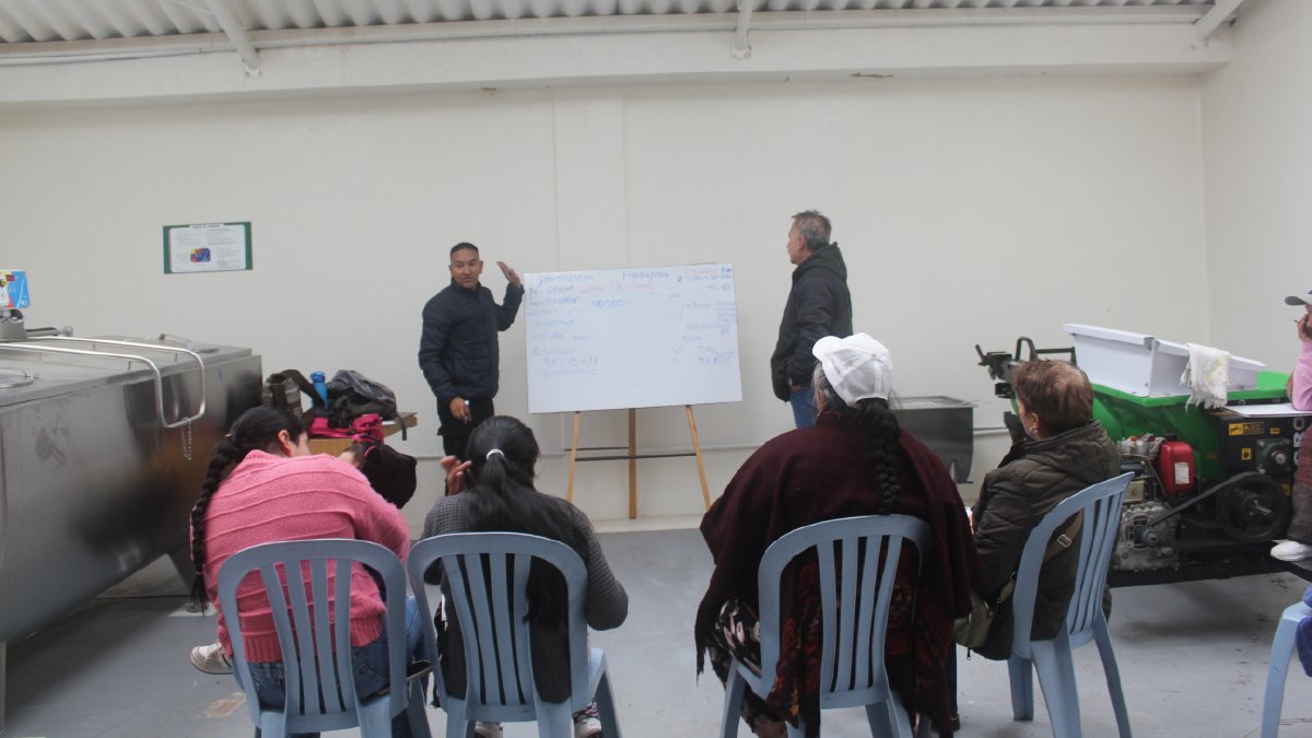 Forages for Livestock Resilience in Tausa — image 3 of 3
