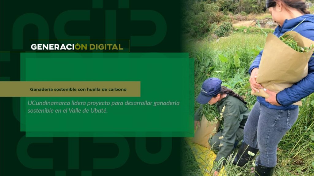 Ganadería sostenible con huella de carbono — imagen 1 de 6