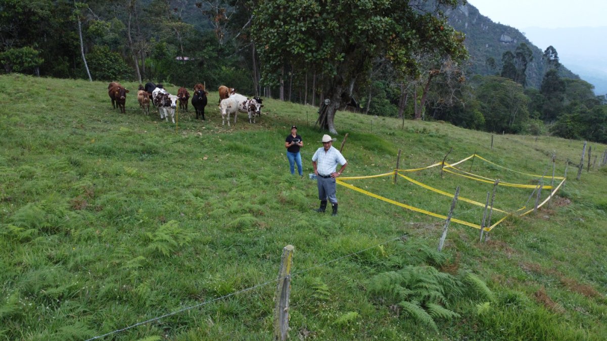 Ganadería sostenible, innovación y compromiso ambiental — imagen 2 de 5