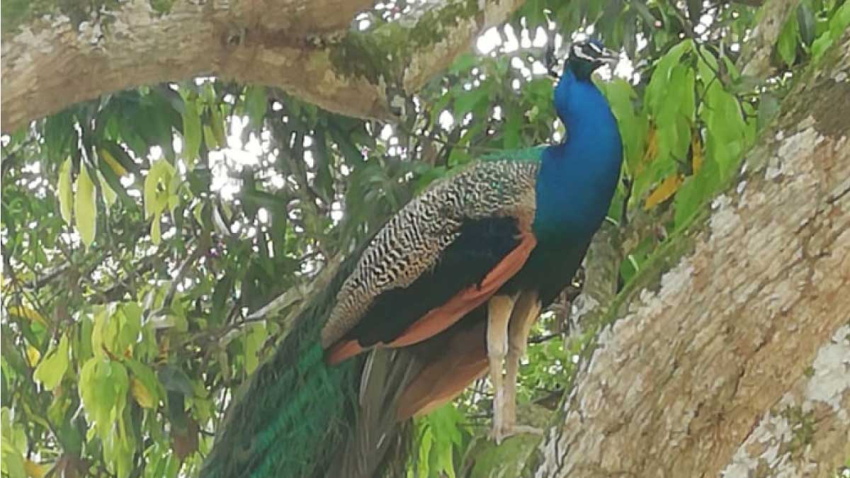 Ganador del Reto-Ambientalmente disfrutó su premio — imagen 3 de 3