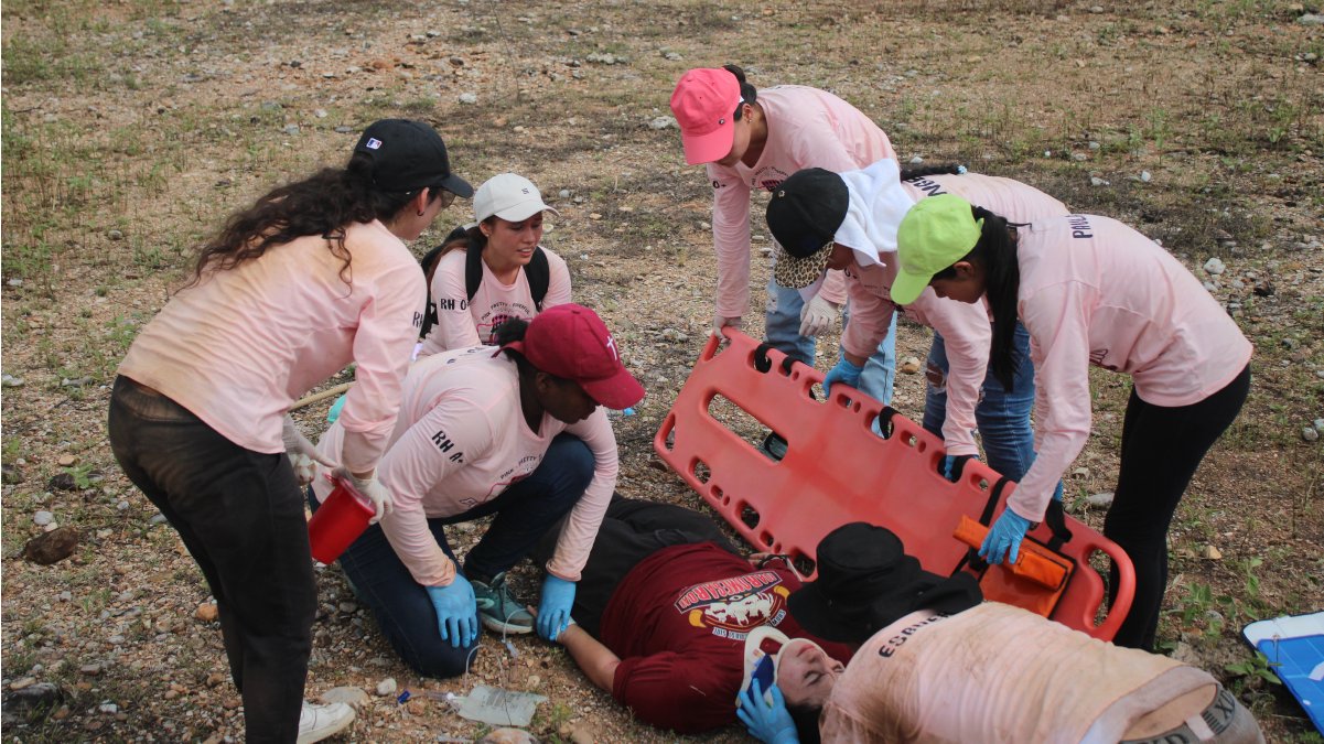 Patient management in disaster situations — image 3 of 5