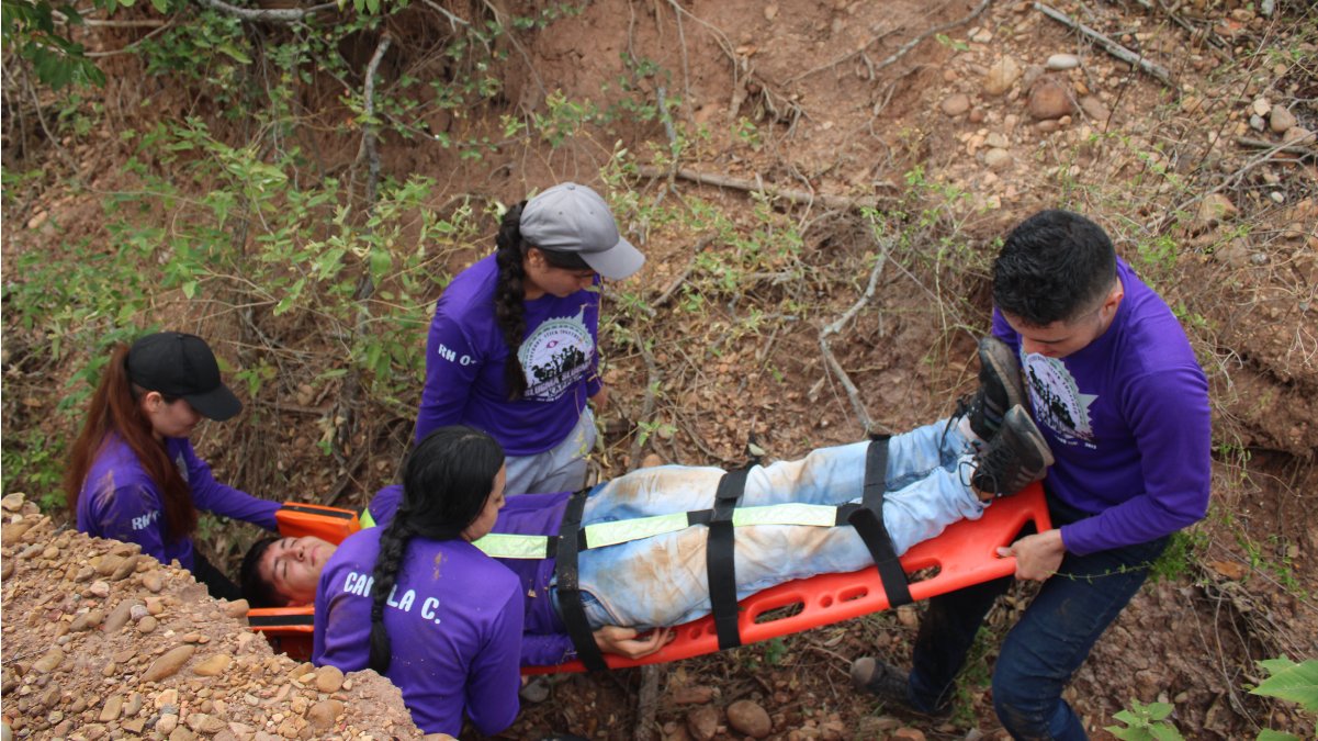 Patient management in disaster situations — image 5 of 5