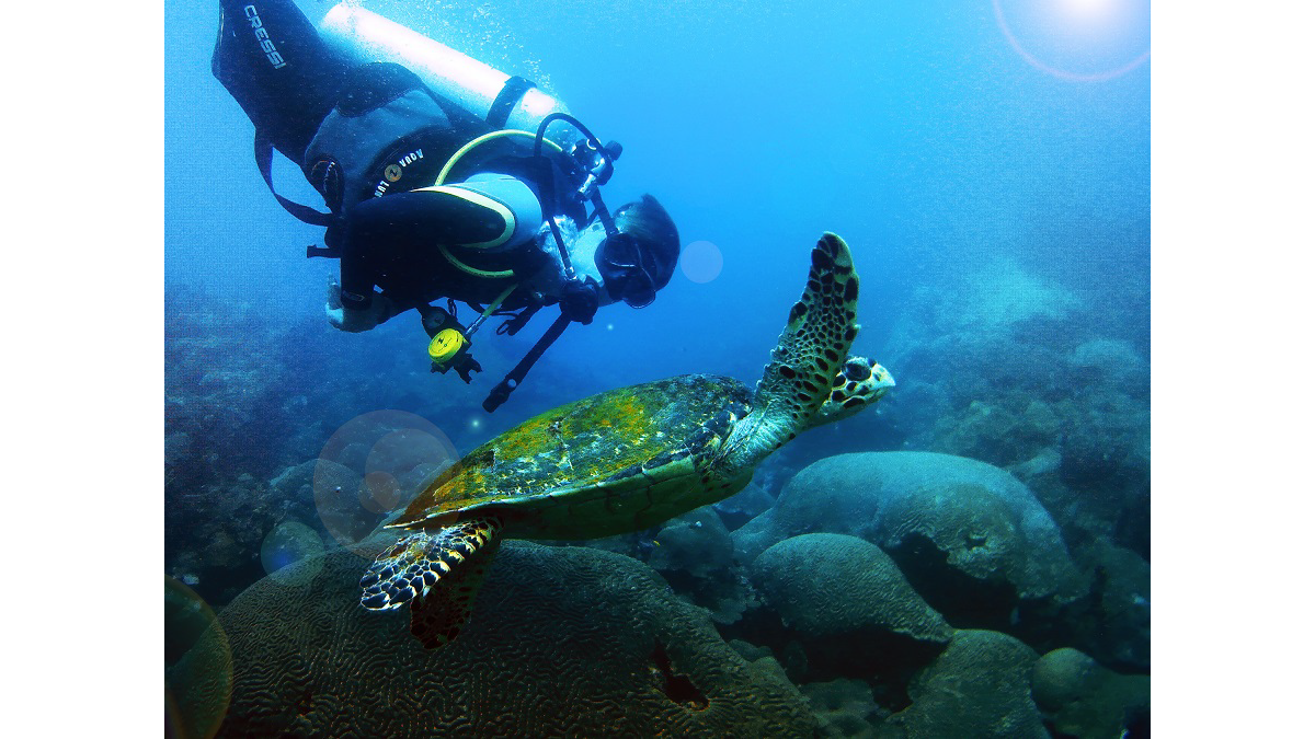 Graduados crearon escuela de buceo — imagen 2 de 5