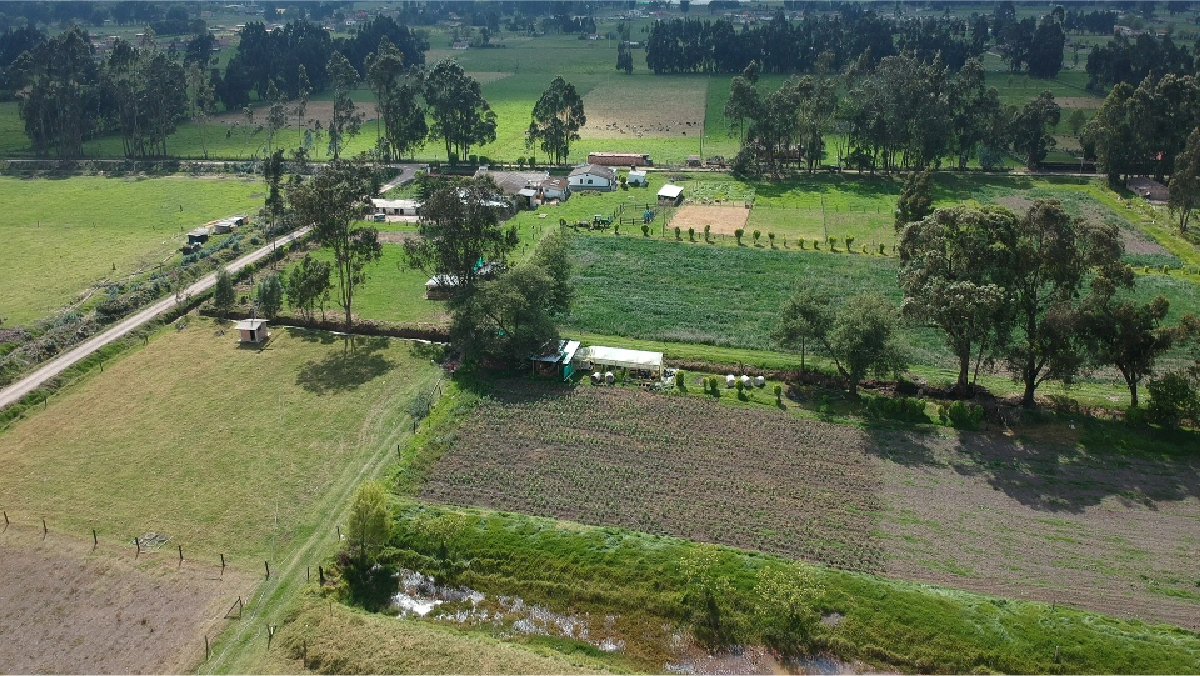 Farm that yields good fruit — image 6 of 9