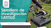 Video de YouTube: Semilleros 4