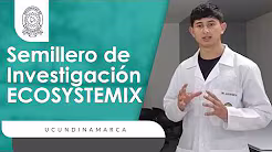 Video de YouTube: Semilleros 3