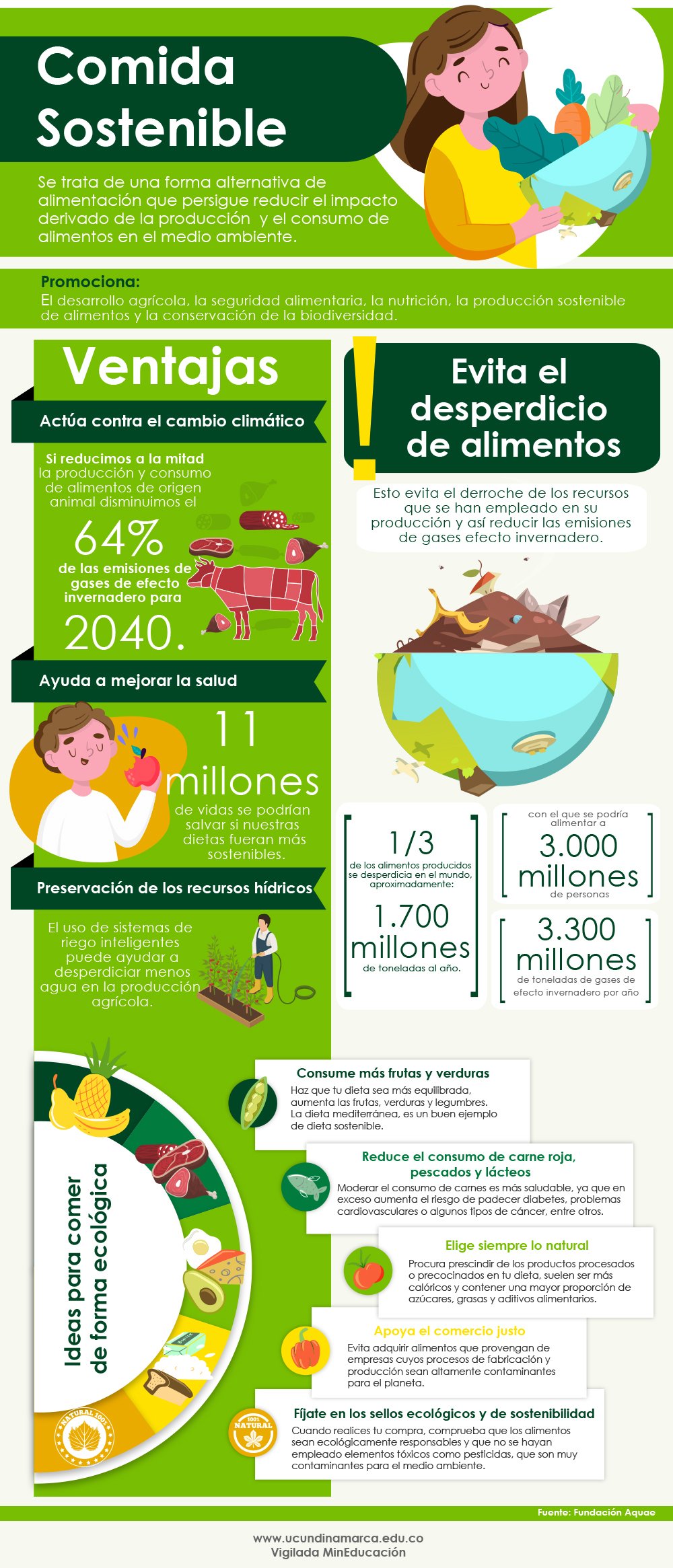 Ideas para comer de forma ecológica