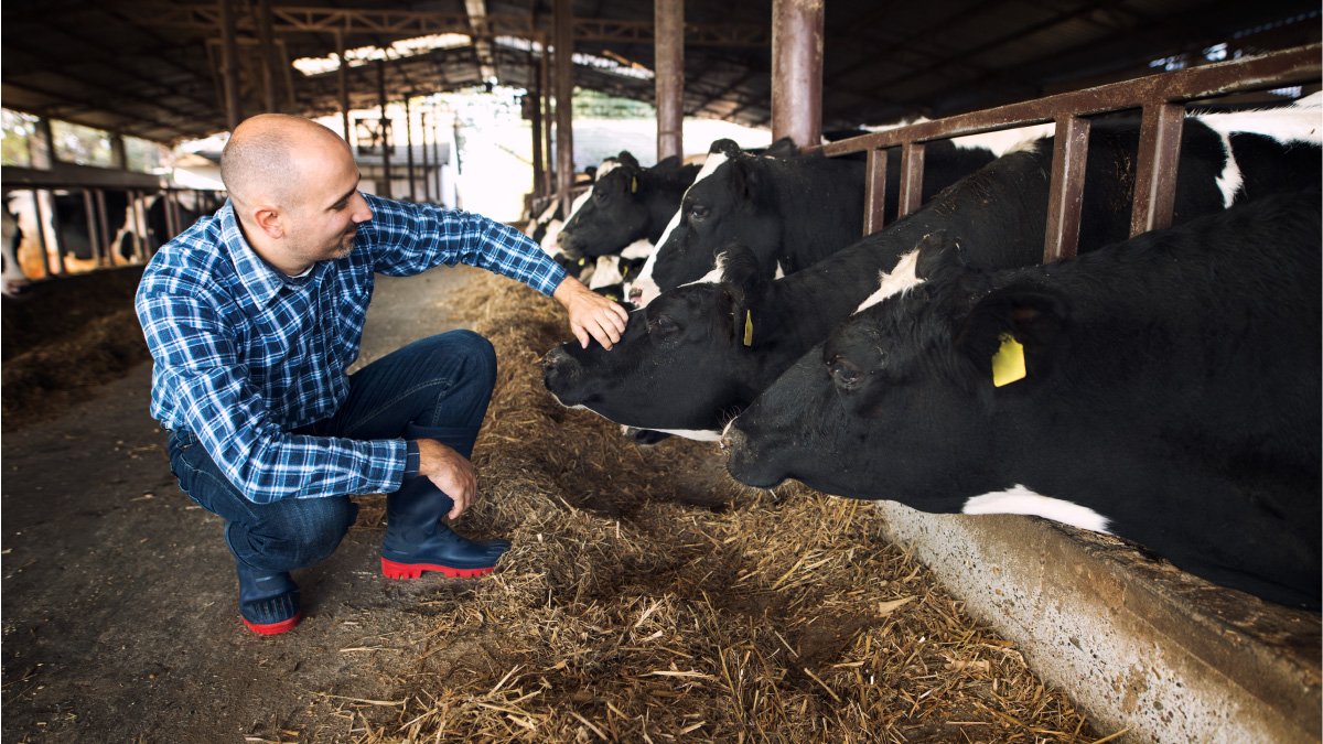 II International and Third Departmental Congress of the Dairy Sector