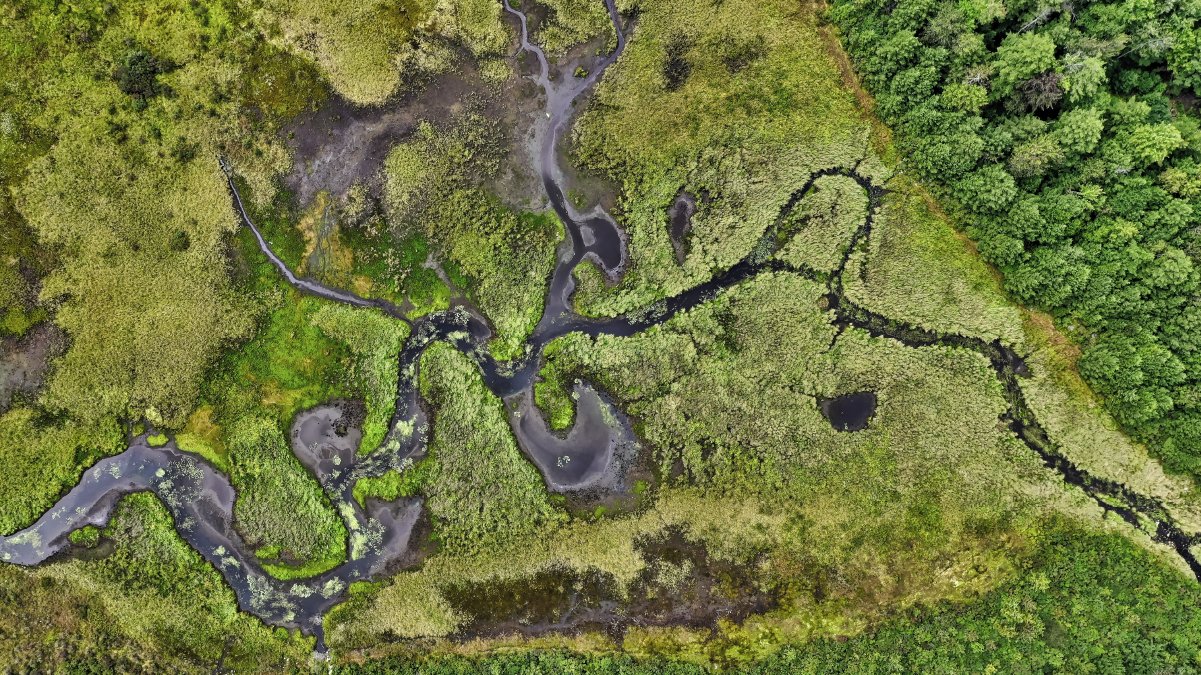 Ingeniería Topográfica y Geomática en Soacha — imagen 3 de 4
