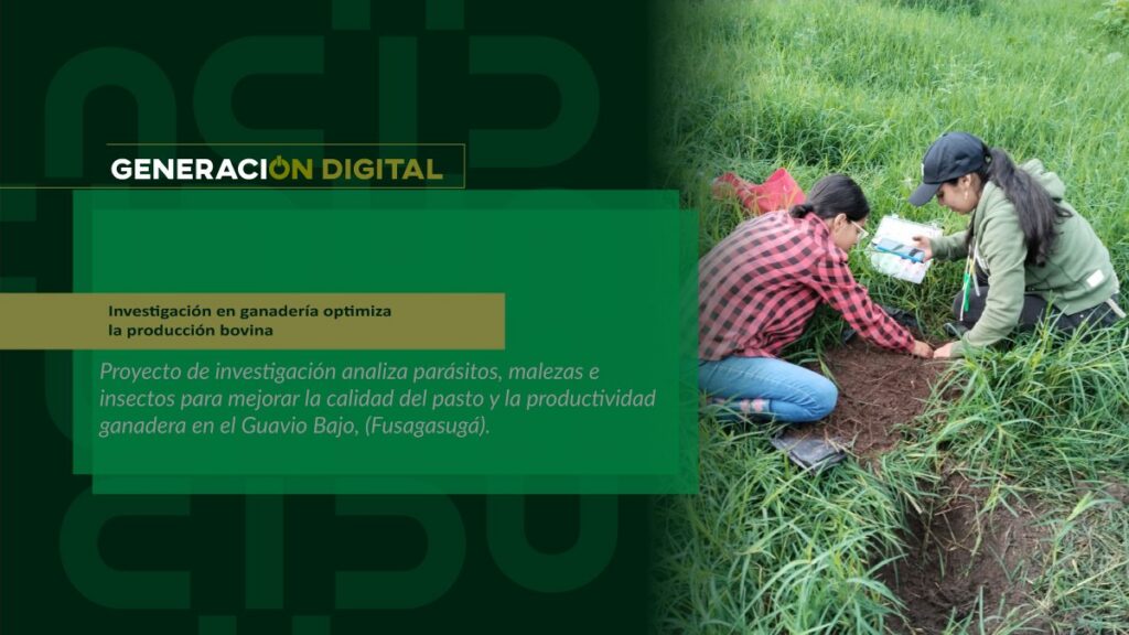 Investigación en ganadería optimiza la producción bovina — imagen 1 de 5