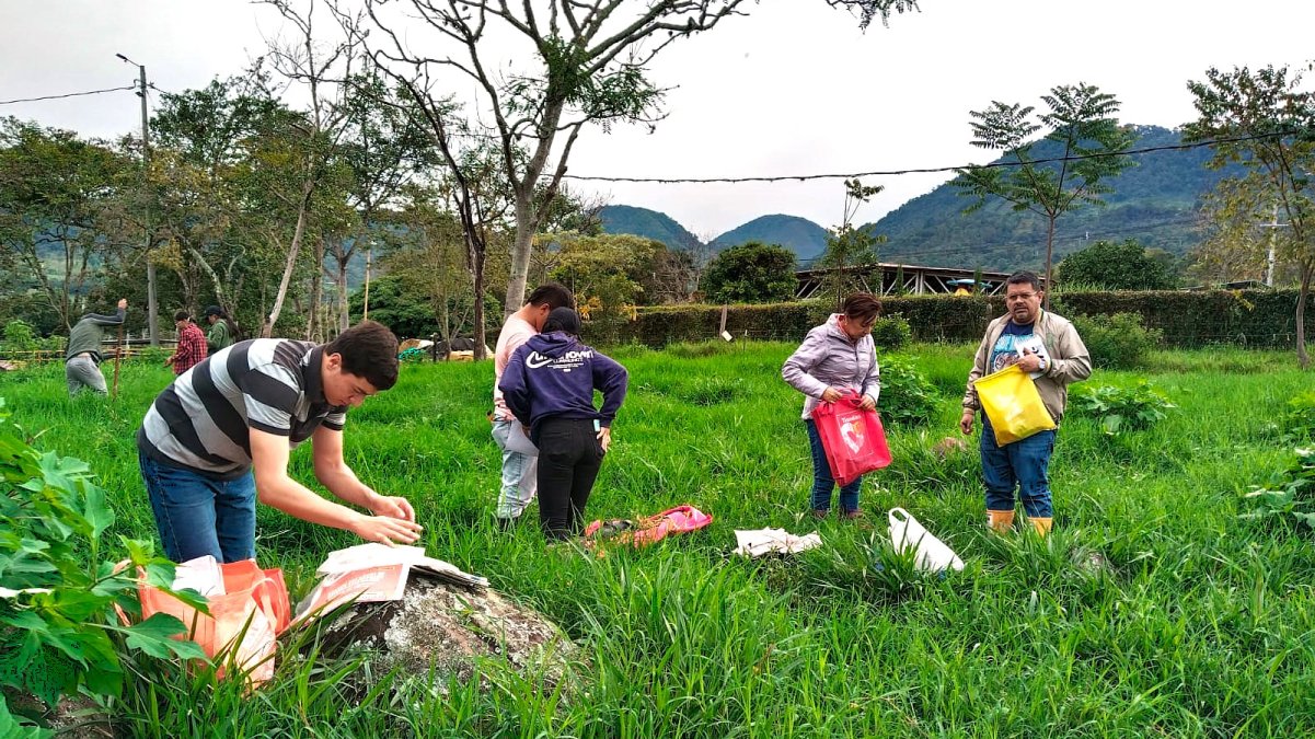 Investigación en ganadería optimiza la producción bovina — imagen 2 de 5