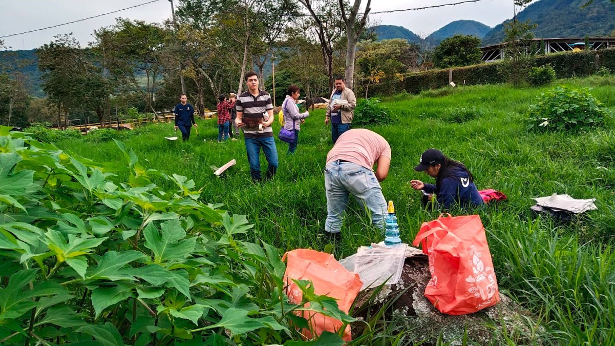 Investigación en ganadería optimiza la producción bovina — imagen 4 de 5