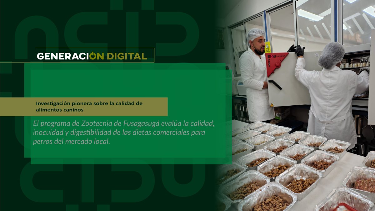 Investigación pionera sobre la calidad de alimentos caninos — imagen 1 de 5