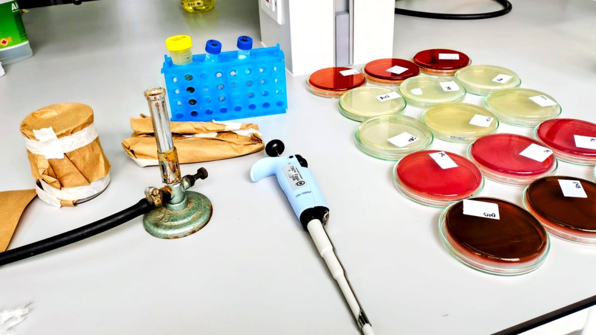 Investigación pionera sobre la calidad de alimentos caninos — imagen 4 de 5